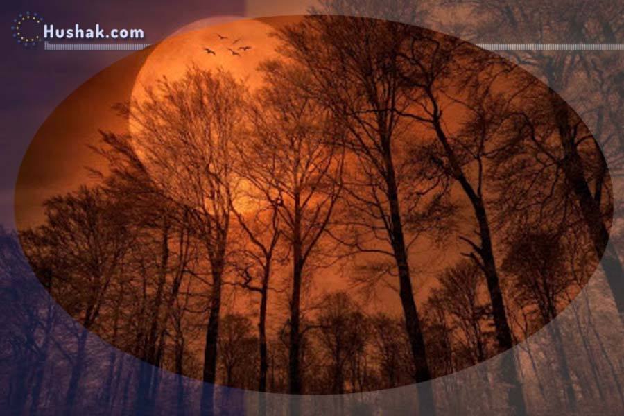 Лунно-солнечный прогноз на 15 августа