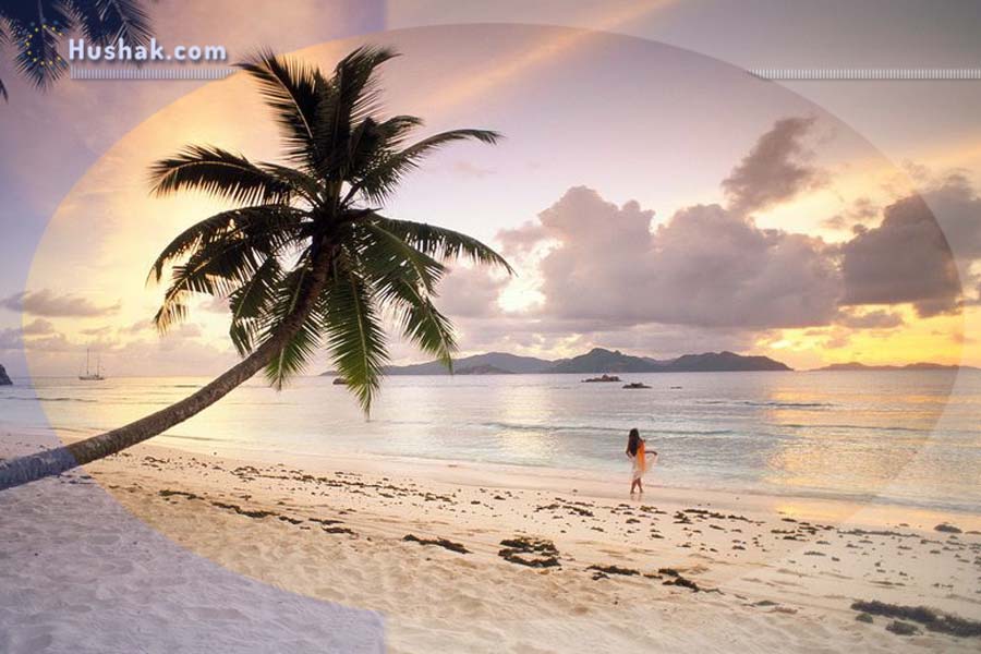 Гороскоп на месяц. Прогноз августа