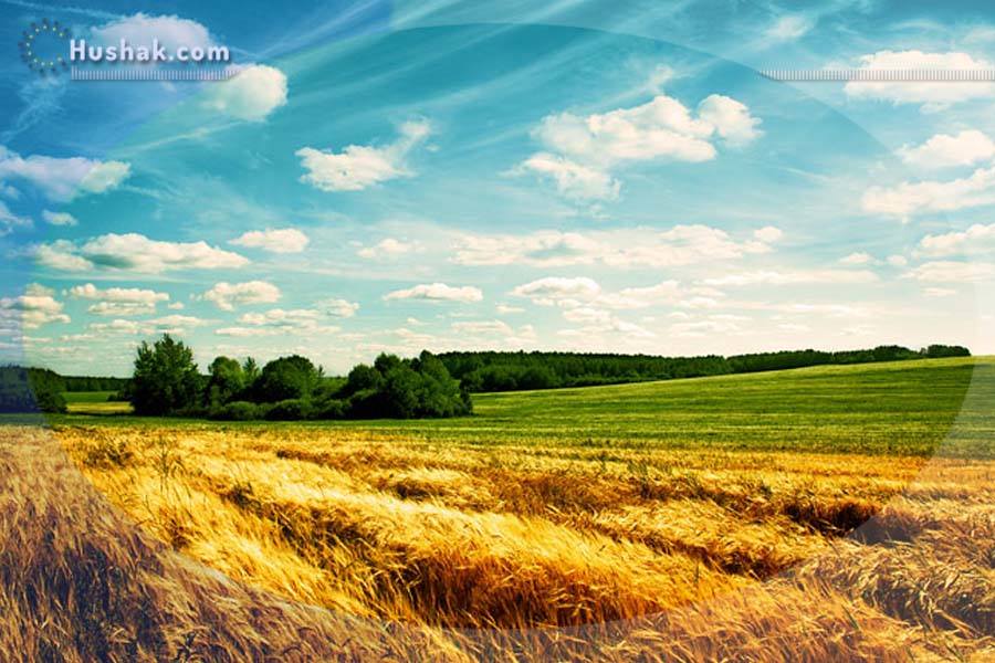 Гороскоп․ Прогноз на 07.09 - 13.09