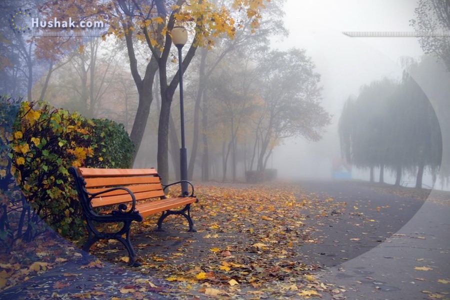 Гороскоп․ Прогноз на 16.11 - 22.11