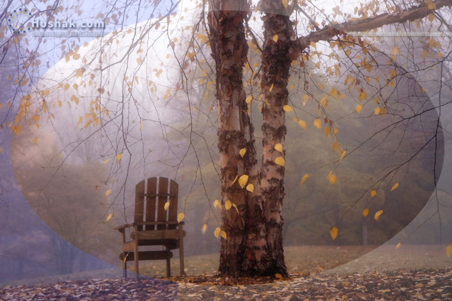 Гороскоп на месяц. Прогноз ноября