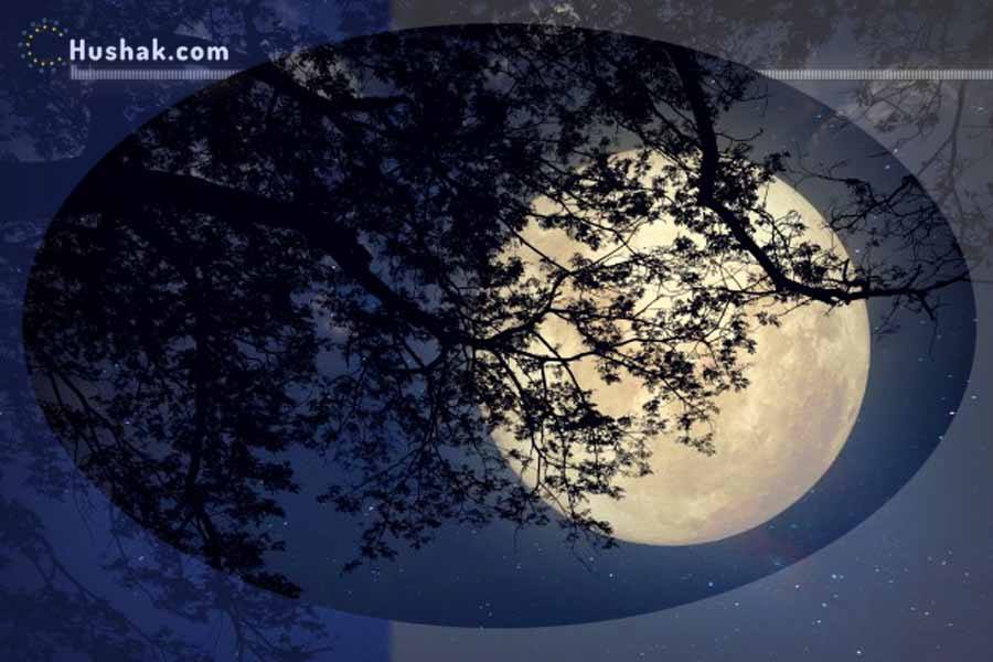 Лунно-солнечный прогноз на 18 декабря