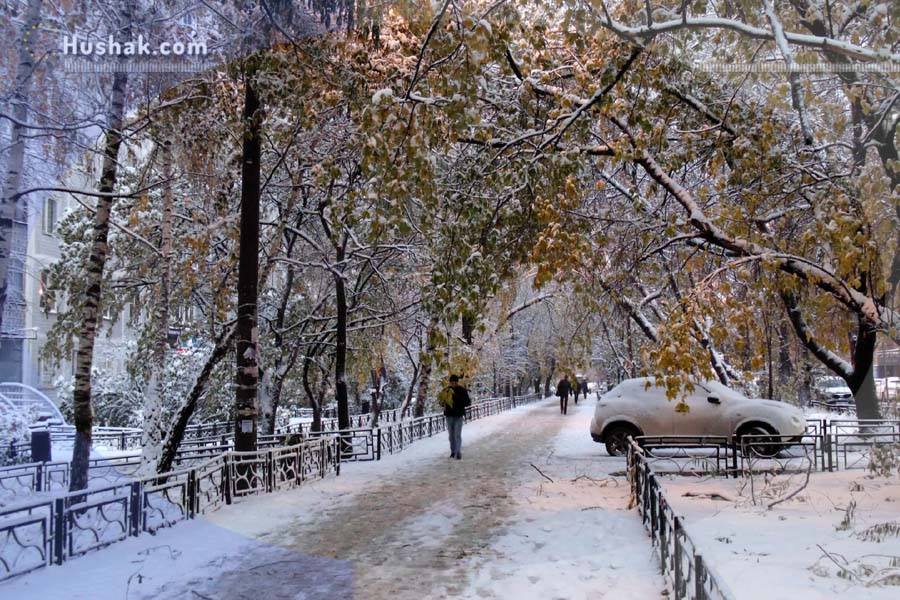 Гороскоп на месяц. Прогноз января