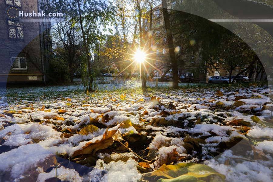 Гороскоп․ Прогноз на 30.11 - 06.12