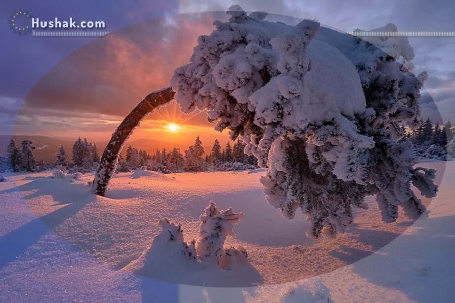Гороскоп на месяц. Прогноз декабря