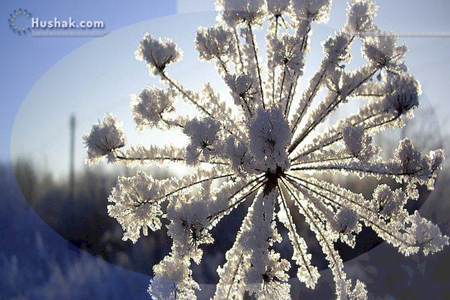 Гороскоп․ Прогноз на 11.01 - 17.01