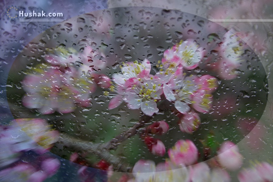 Гороскоп․ Прогноз на 22.03 - 28.03