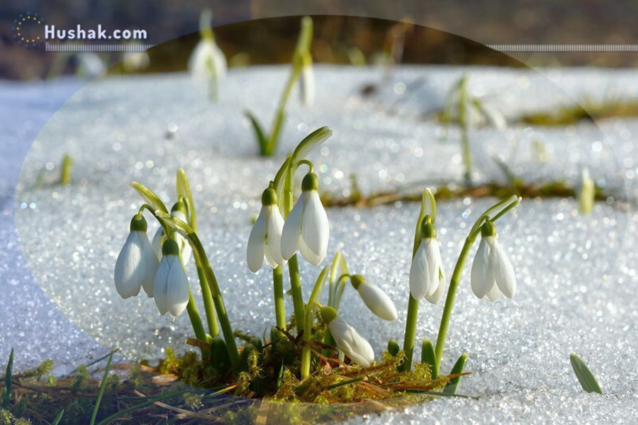 Гороскоп на месяц. Прогноз марта
