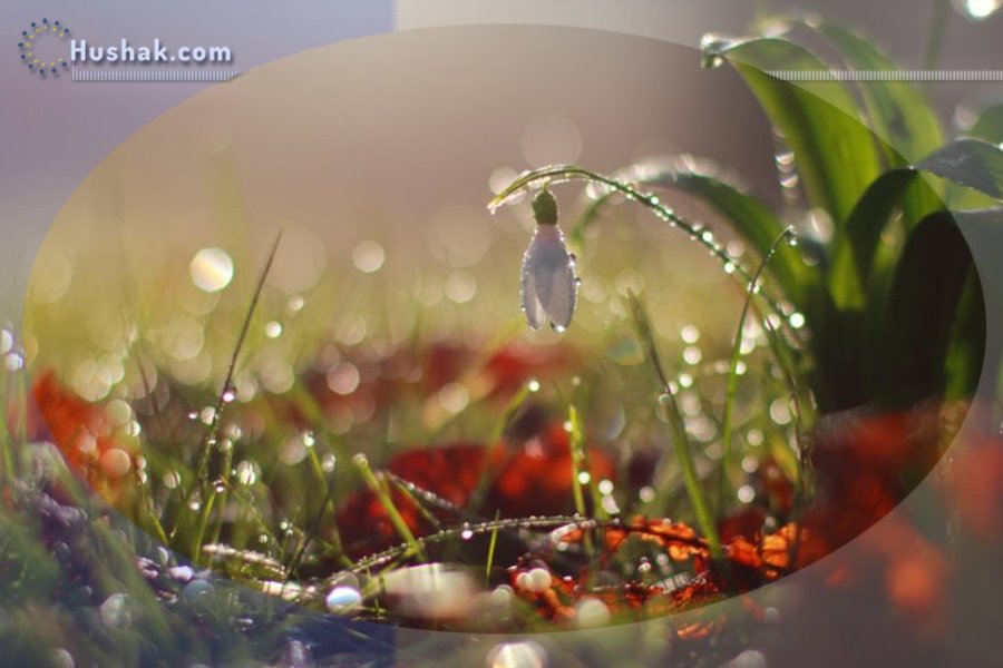 Гороскоп․ Прогноз на 05.04 - 11.04