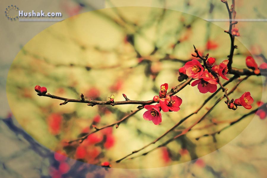 Гороскоп․ Прогноз на 29.03 - 04.04