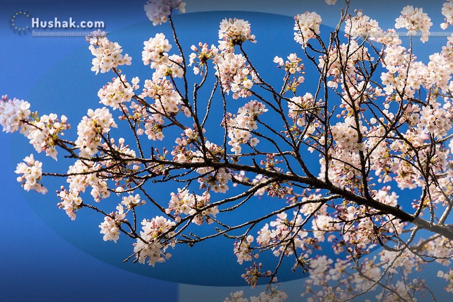 Гороскоп․ Прогноз на 10.05 - 16.05