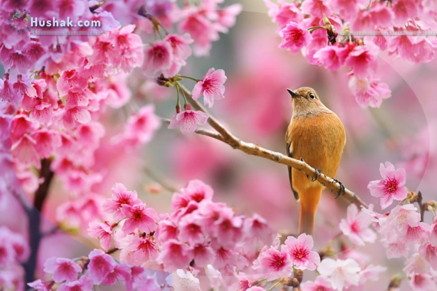 Гороскоп․ Прогноз на 17.05 - 23.05