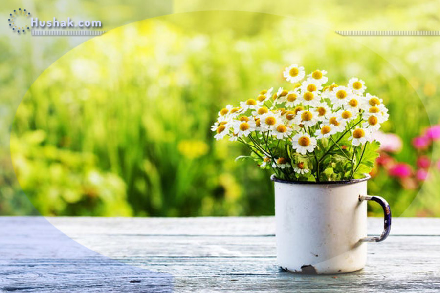 Гороскоп․ Прогноз на 24.05 - 30.05