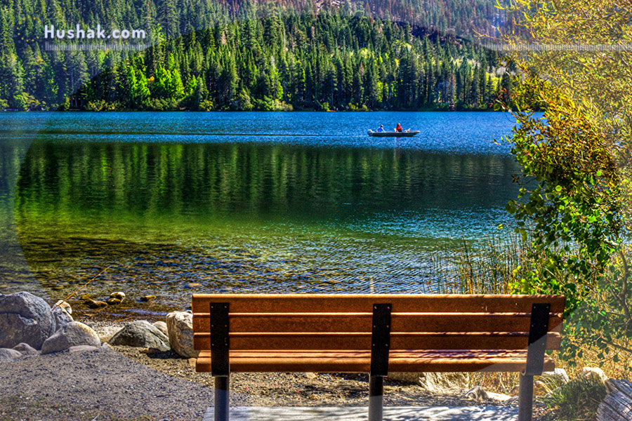 Гороскоп на месяц. Прогноз июля