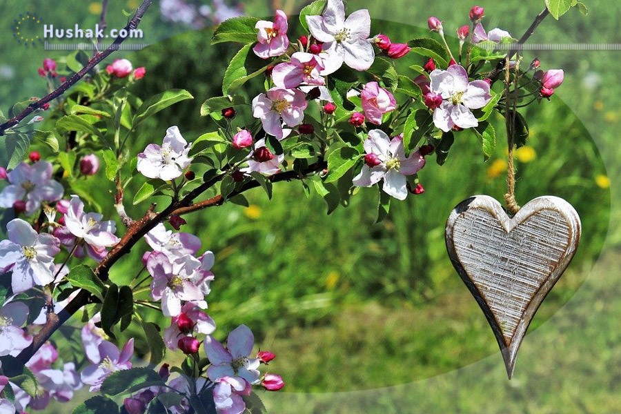 Гороскоп․ Прогноз на 07.06 - 13.06