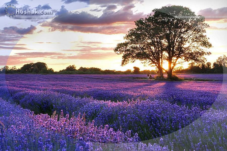 Гороскоп․ Прогноз на 31.05 - 06.06