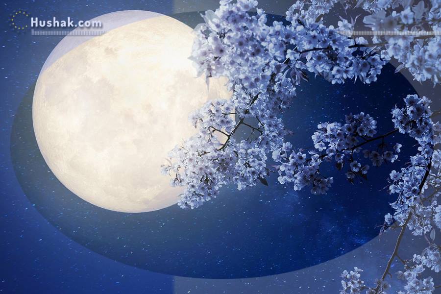 Лунно-солнечный прогноз на 30 июня