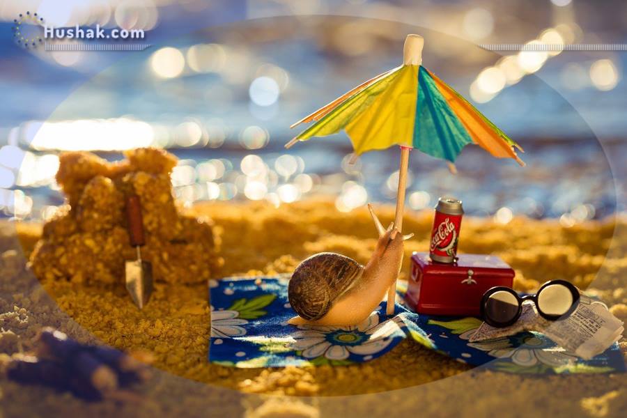 Гороскоп․ Прогноз на 16.08 - 22.08