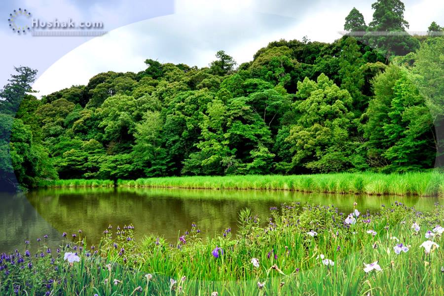 Гороскоп․ Прогноз на 02.08 - 08.08