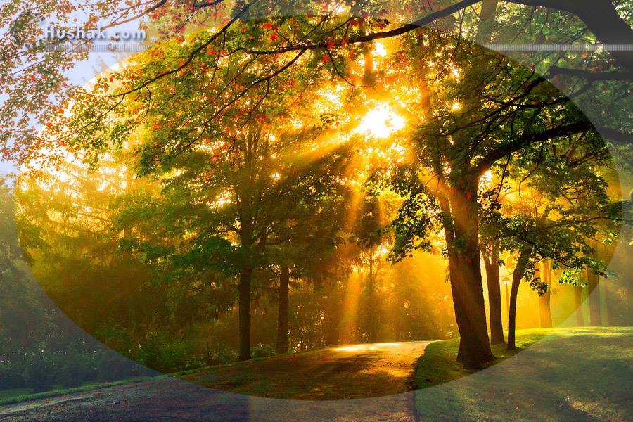 Гороскоп․ Прогноз на 19.07 - 25.07