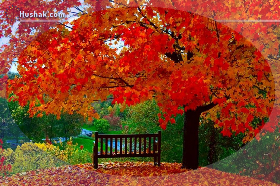 Гороскоп․ Прогноз на 13.09 - 19.09