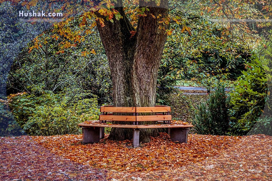 Гороскоп․ Прогноз на 04.10 - 10.10