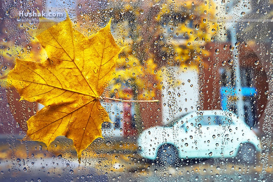 Гороскоп․ Прогноз на 06.09 - 12.09