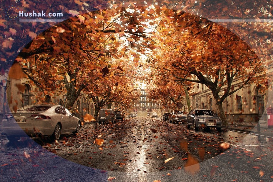 Гороскоп на месяц. Прогноз ноября