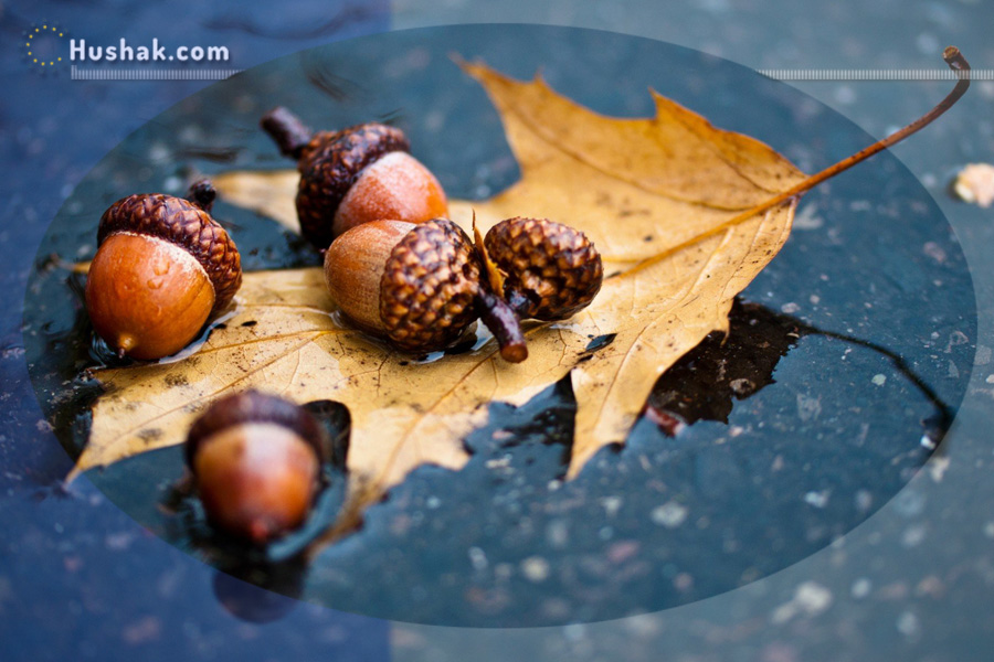 Гороскоп․ Прогноз на 01.11 - 07.11