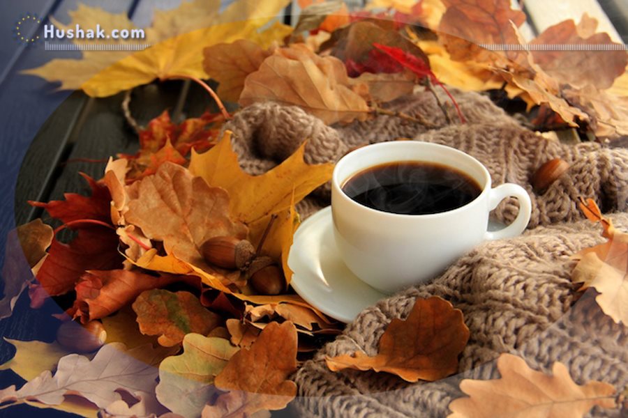 Гороскоп․ Прогноз на 22.11 - 28.11