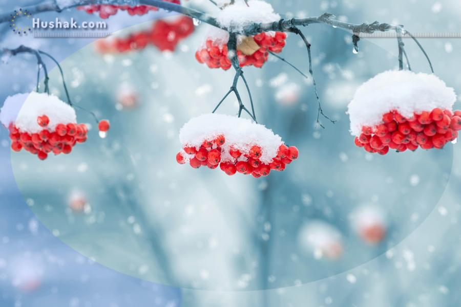 Гороскоп․ Прогноз на 06.12 - 12.12