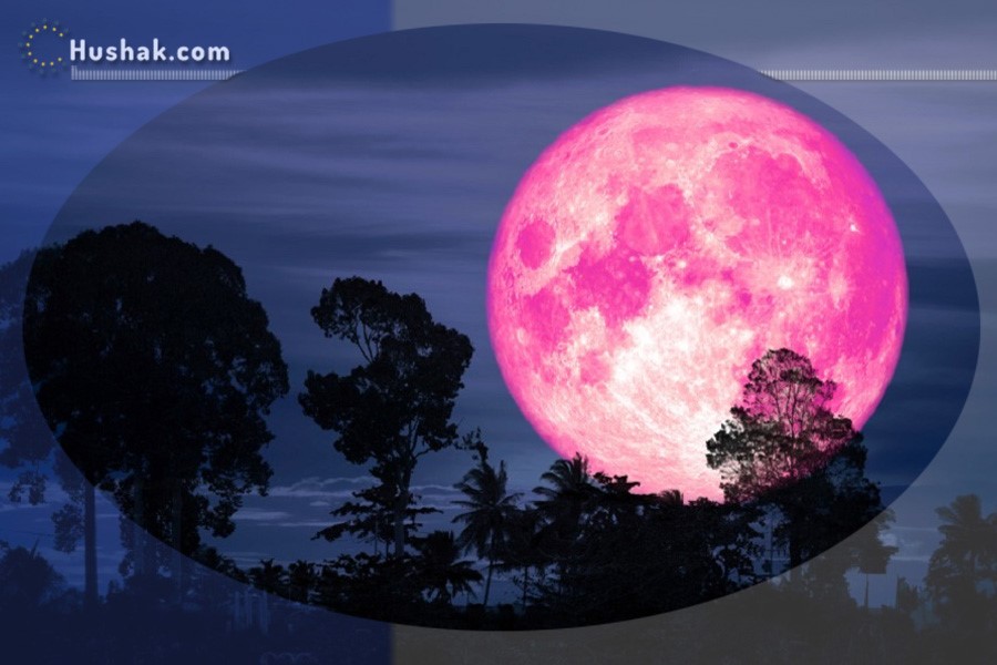 Лунно-солнечный прогноз на 11 декабря 2021 года