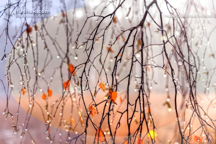 Гороскоп․ Прогноз на 29.11 - 05.12