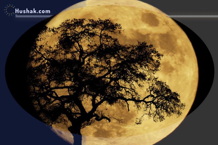 Лунно-солнечный прогноз на 9 февраля 2022 года