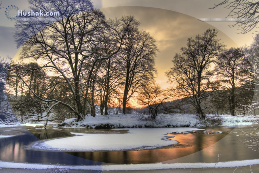 Гороскоп․ Прогноз на 24.01 - 30.01