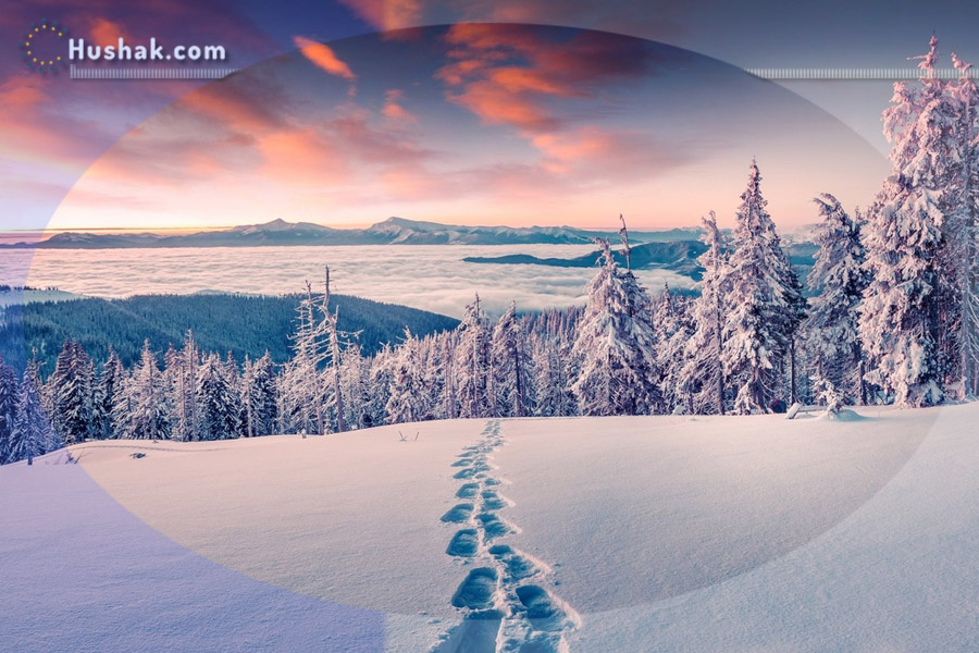 Гороскоп․ Прогноз на 07.02 - 13.02