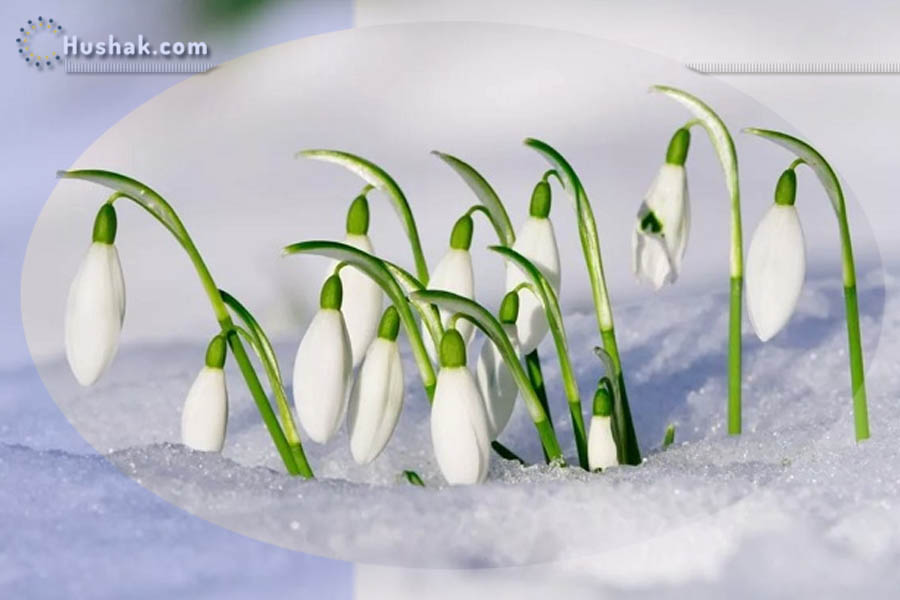 Гороскоп․ Прогноз на 14.03 - 20.03