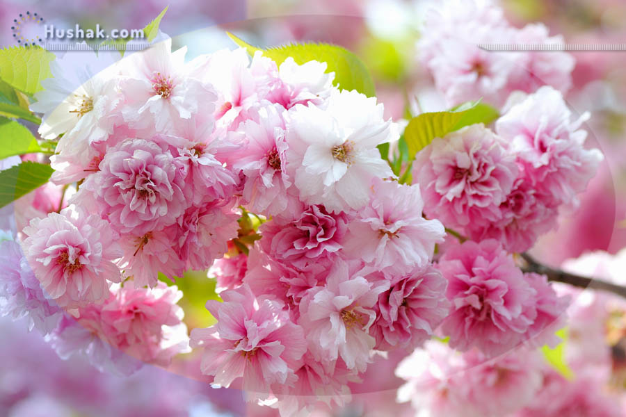 Гороскоп на месяц. Прогноз апреля 2022 года