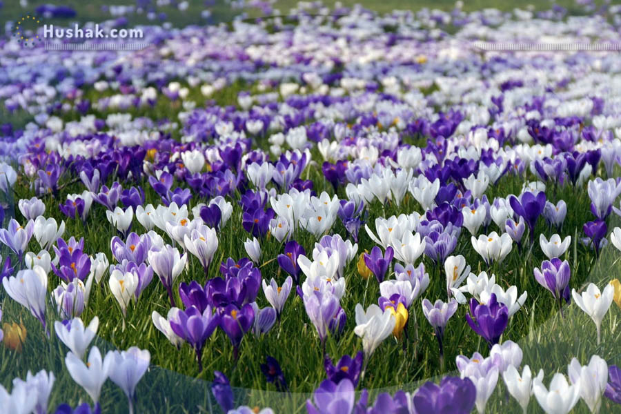 Гороскоп․ Прогноз на 16.05 - 22.05