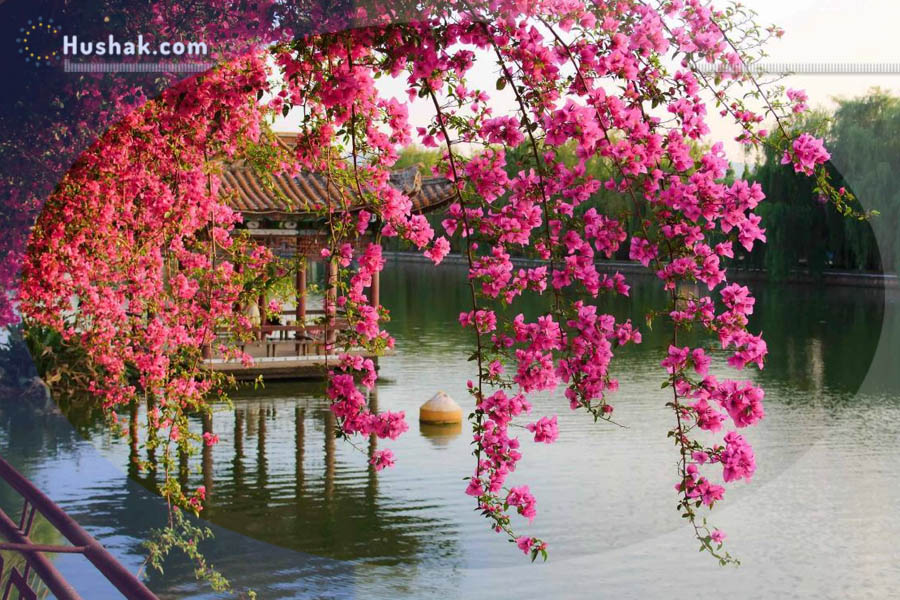 Гороскоп․ Прогноз на 02.05 - 08.05