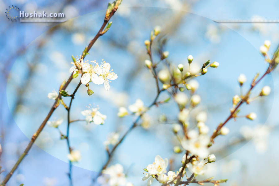 Гороскоп․ Прогноз на 11.04 - 17.04