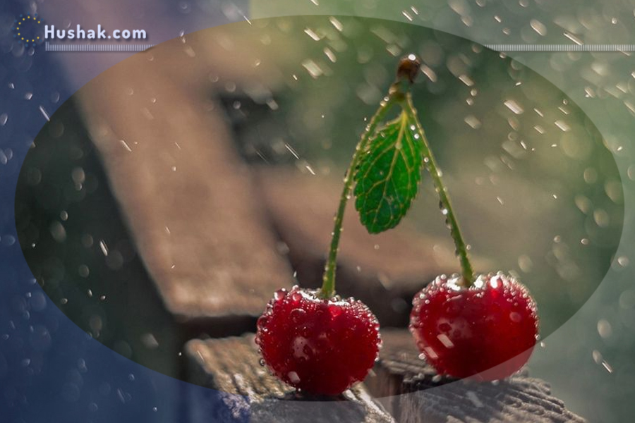 Гороскоп․ Прогноз на 13.06 - 19.06