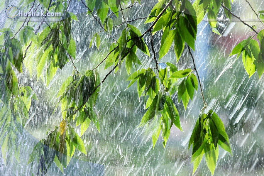 Гороскоп․ Прогноз на 23.05 - 29.05