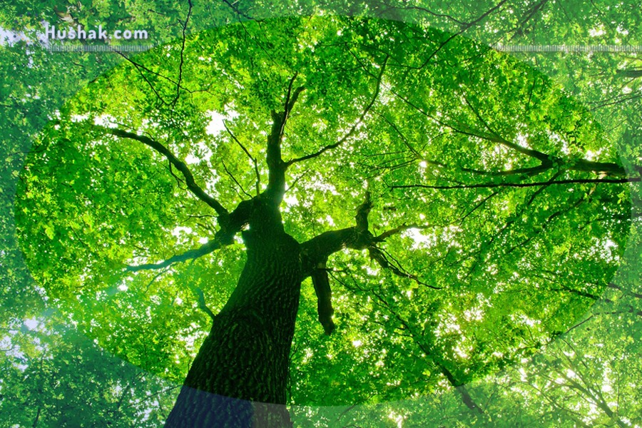 Гороскоп․ Прогноз на 18.07 - 24.07