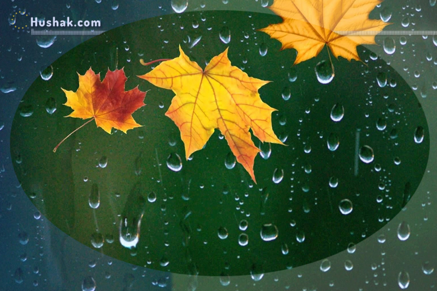 Гороскоп․ Прогноз на 03.10 - 09.10