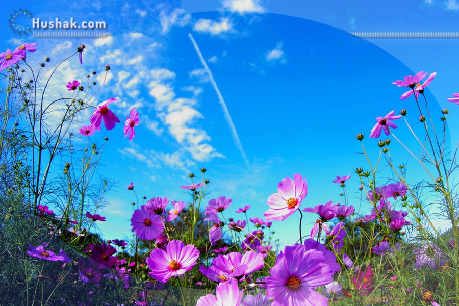 Гороскоп․ Прогноз на 29.08 - 04.09