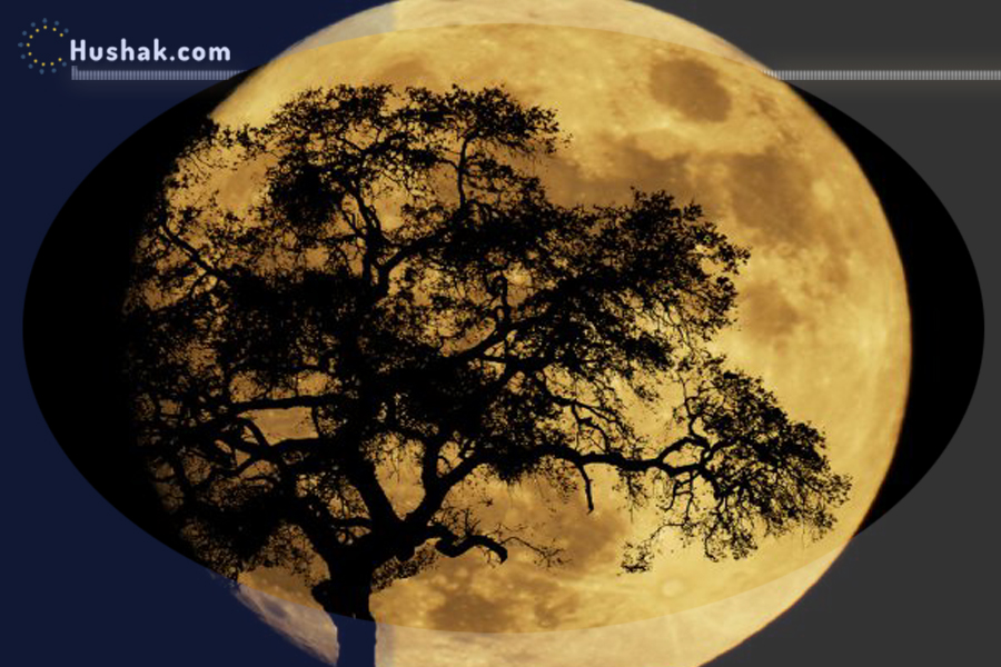 Лунно-солнечный прогноз на 27 октября 2022 года