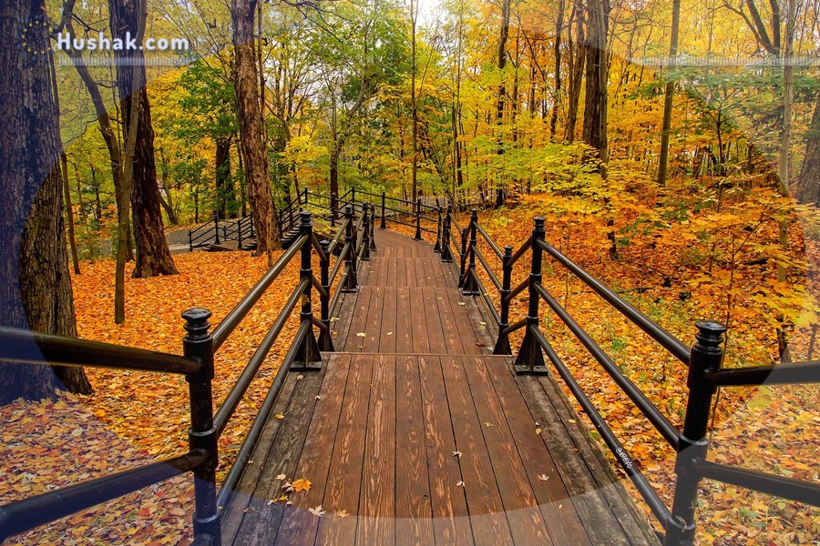 Гороскоп․ Прогноз на 24.10 - 30.10