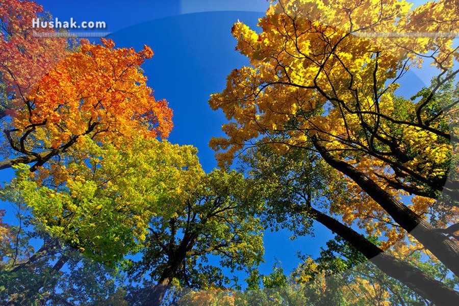 Гороскоп․ Прогноз на 17.10 - 23.10