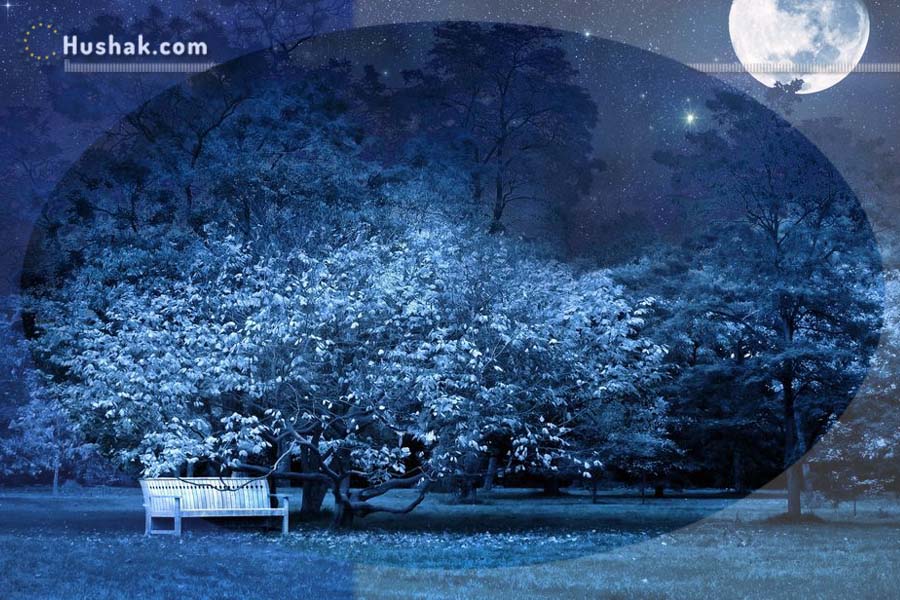 Лунно-солнечный прогноз на 28 декабря 2022 года